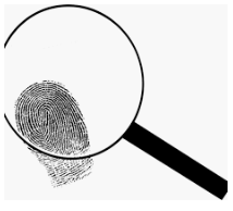 murder attorney edmonton - crime scene fingerprint